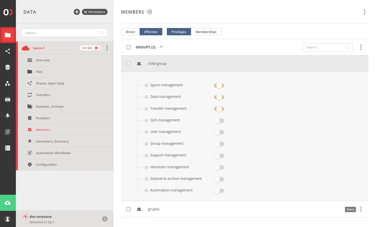 screen-effective-privileges