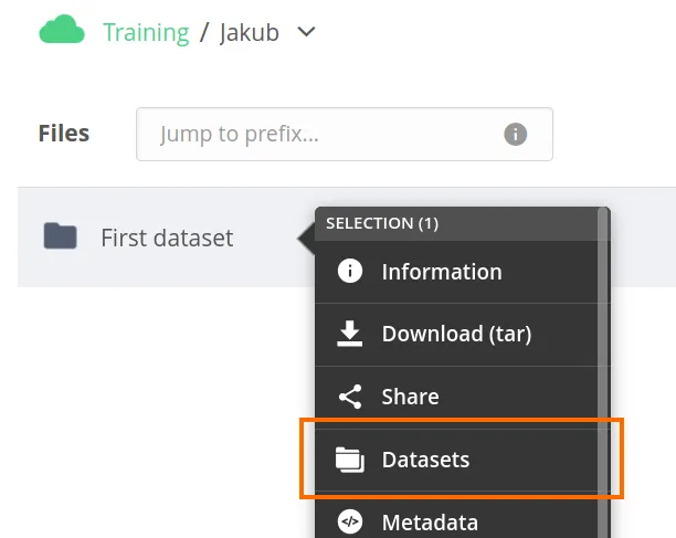 screen-file-menu-datasets