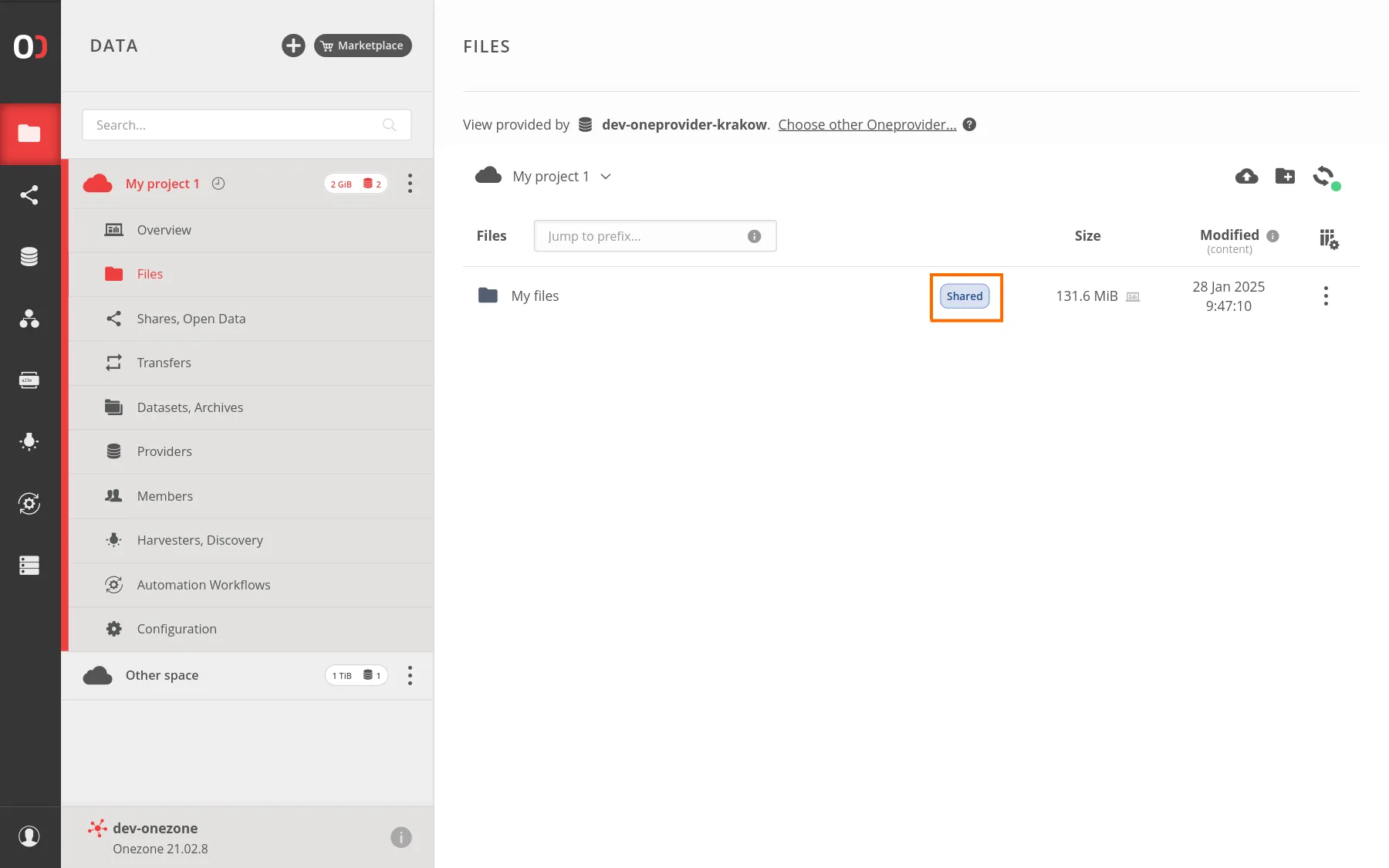 screen-managing-file-badge