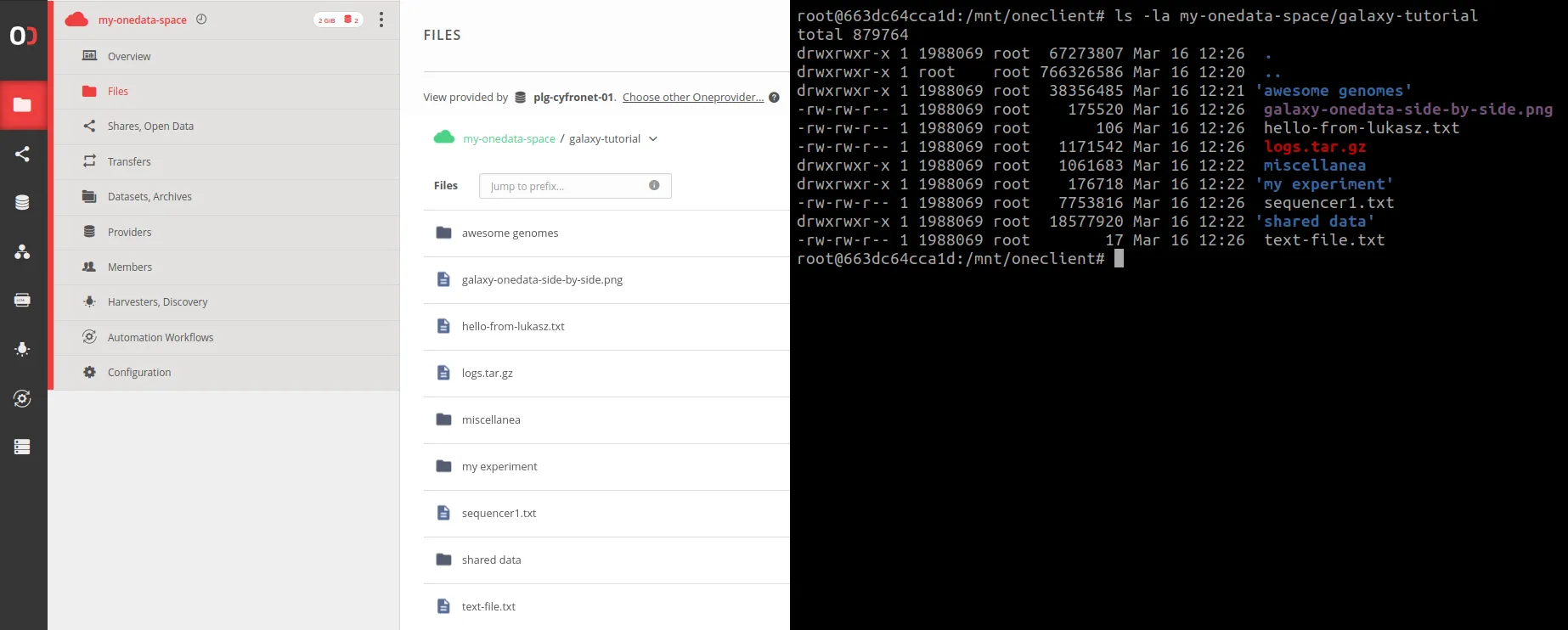 screen-oneclient-mount