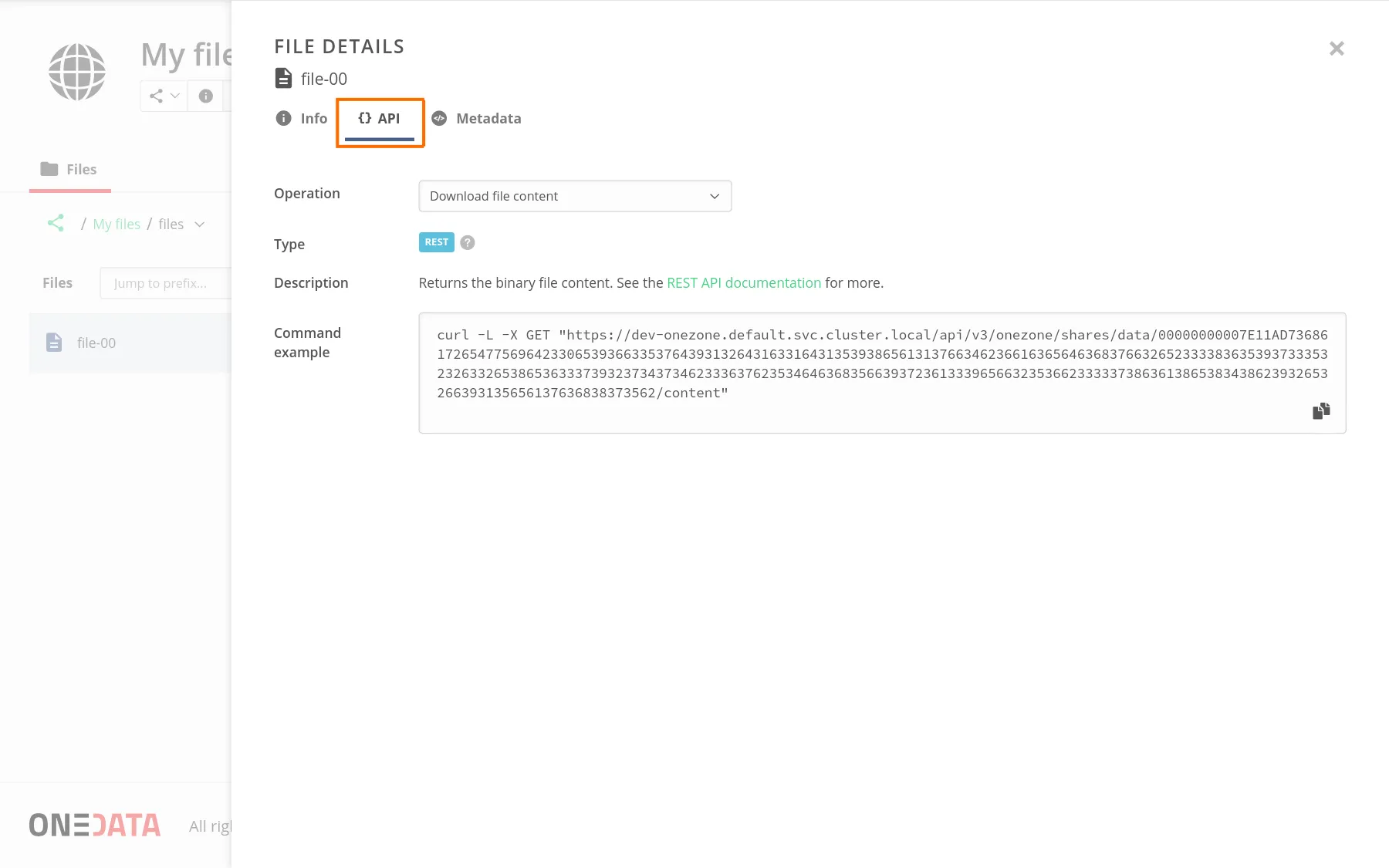 screen-share-anonymous-file-api