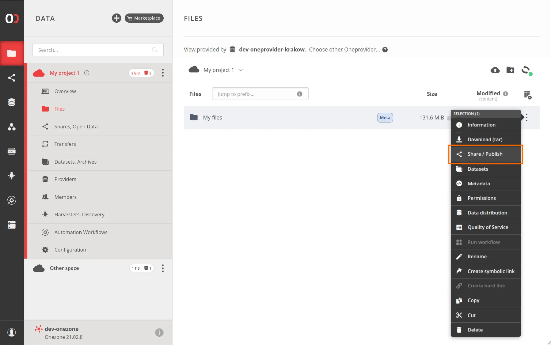 screen-sharing-file-menu