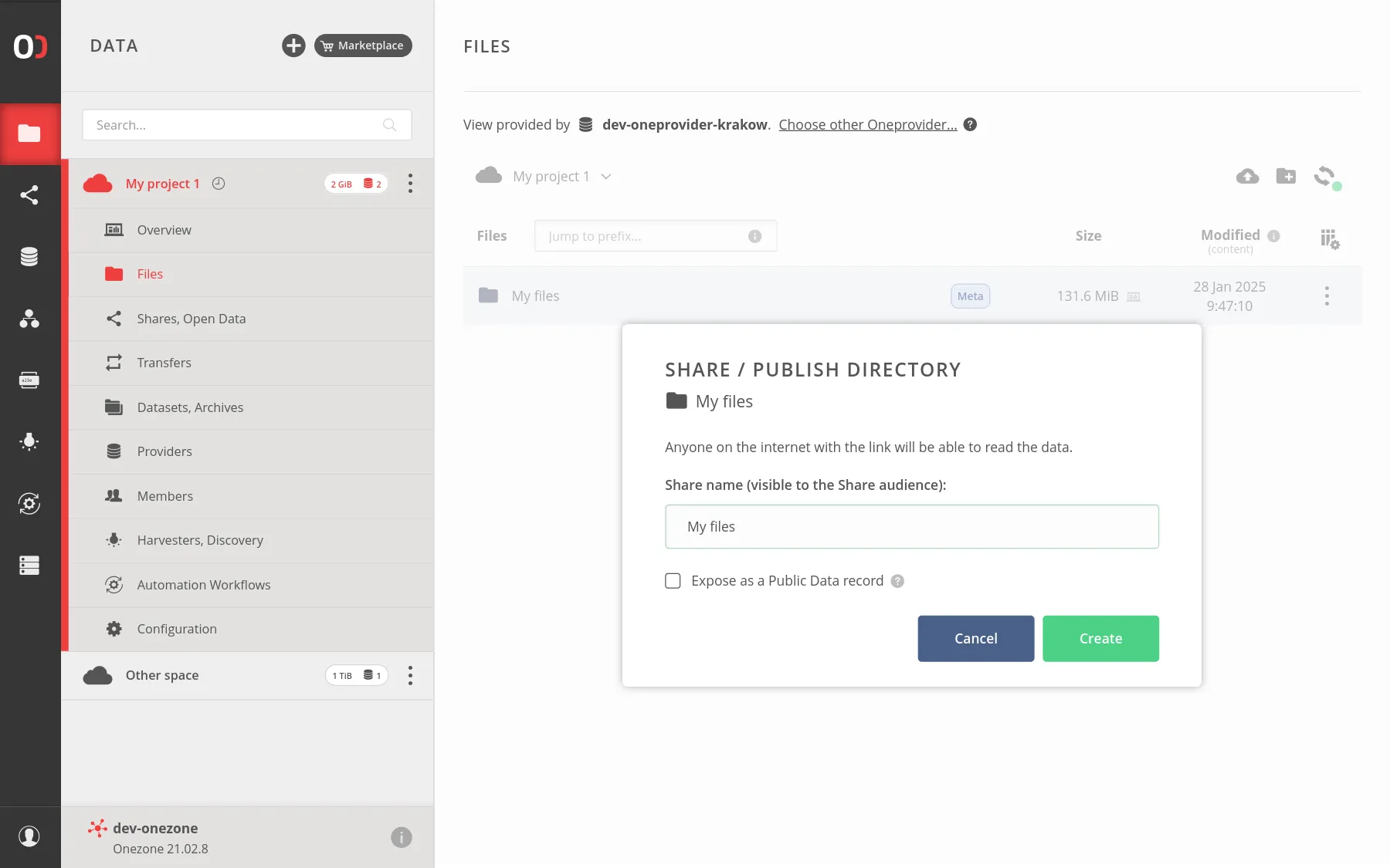 screen-sharing-file-modal