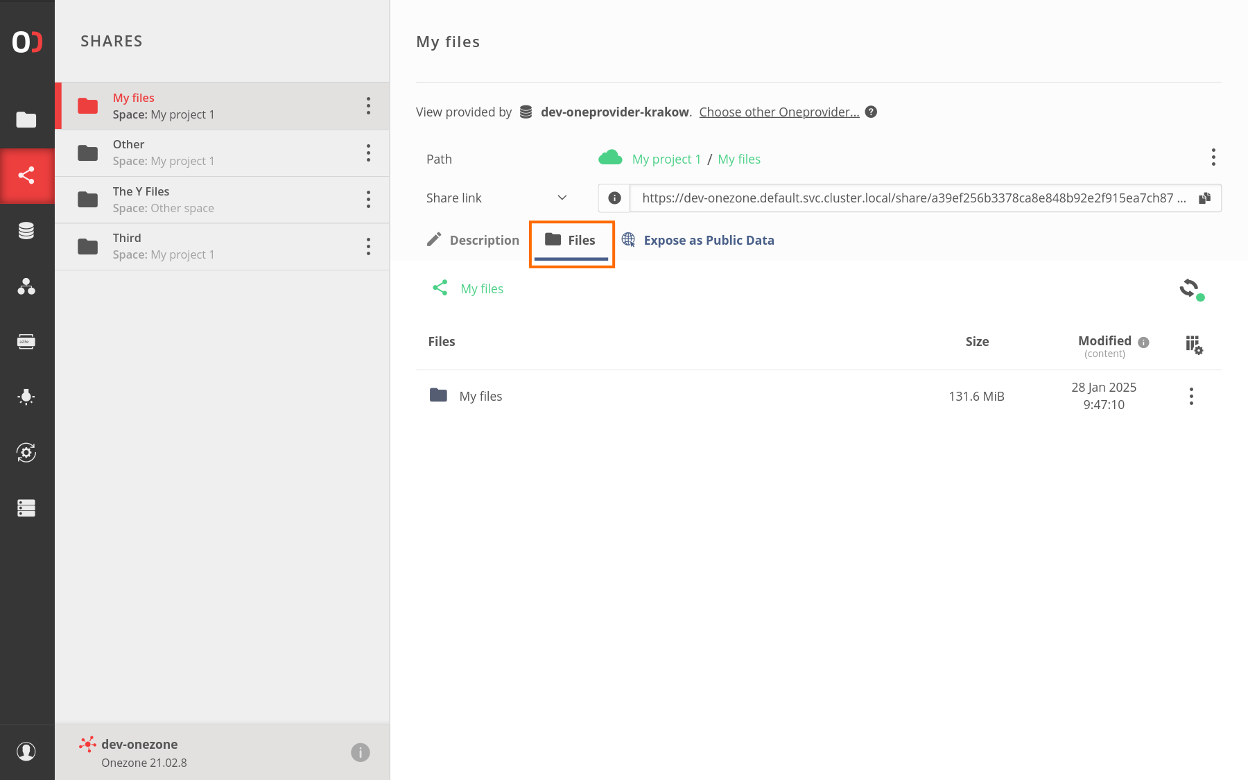 screen-share-files